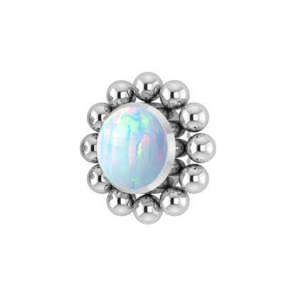 Helianthus (White Opal)